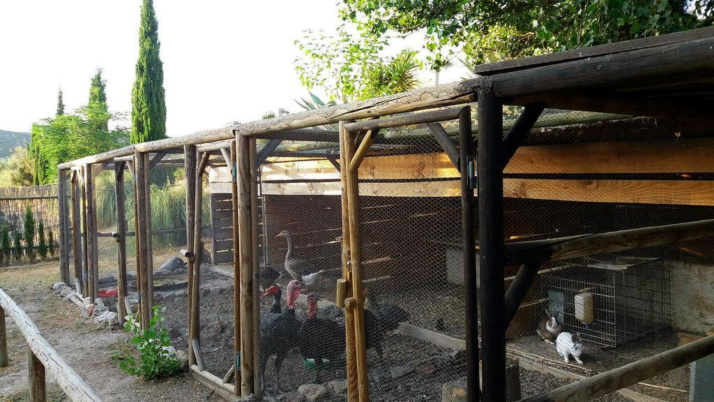 Posada Nina Margarita Priego de Córdoba Kültér fotó